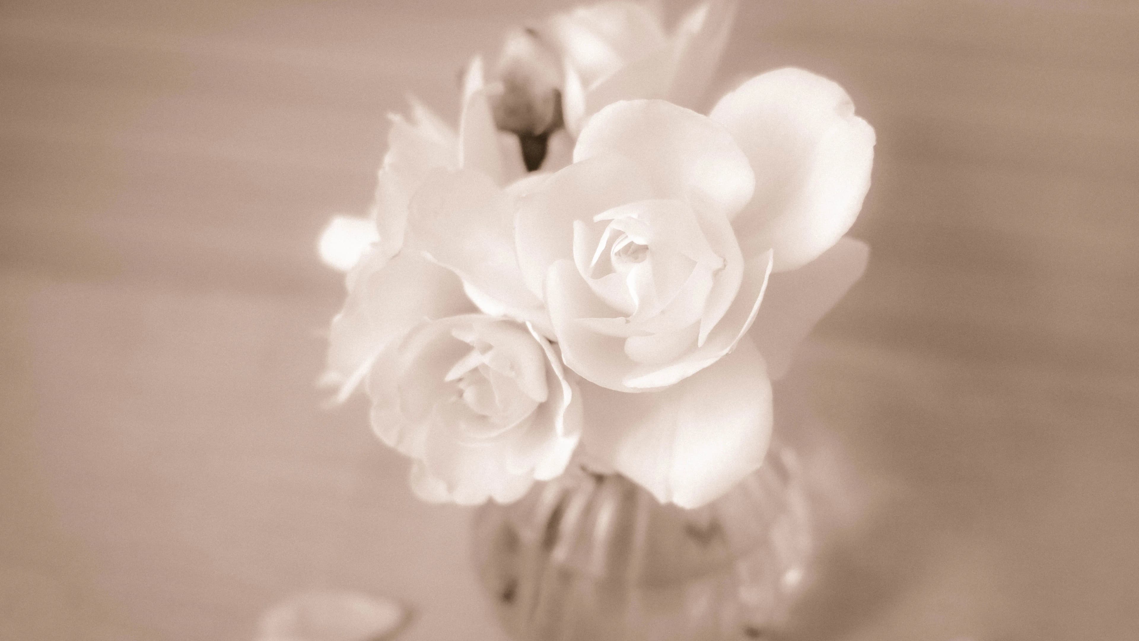 Gros plan détaillé sur une aiguille à coudre insérée dans un tissu, symbolisant le savoir-faire artisanal de Mallyana Création